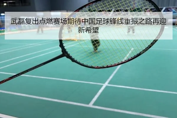 武磊复出点燃赛场期待中国足球锋线重振之路再迎新希望