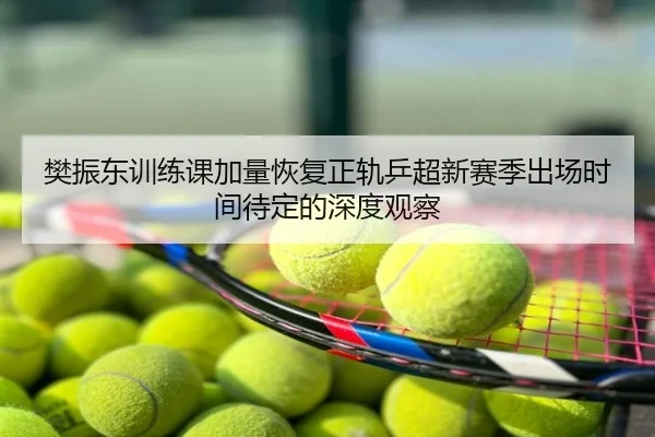 樊振东训练课加量恢复正轨乒超新赛季出场时间待定的深度观察